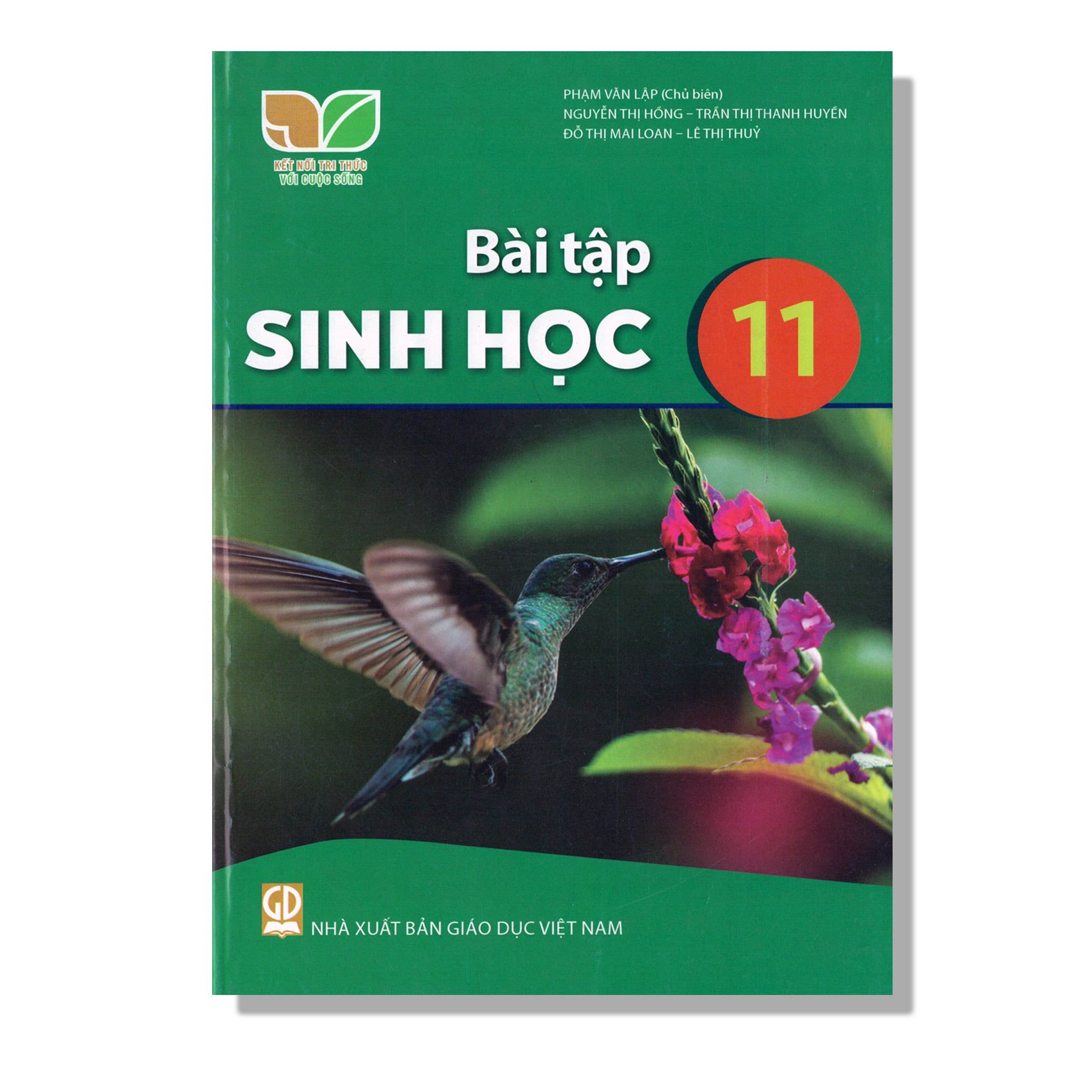 Bài Tập Sinh Học 11 - KNTT